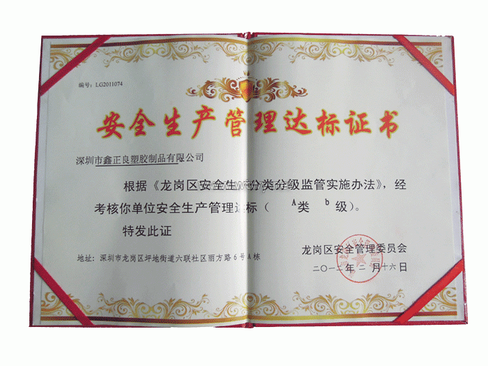 安全管理达标证书